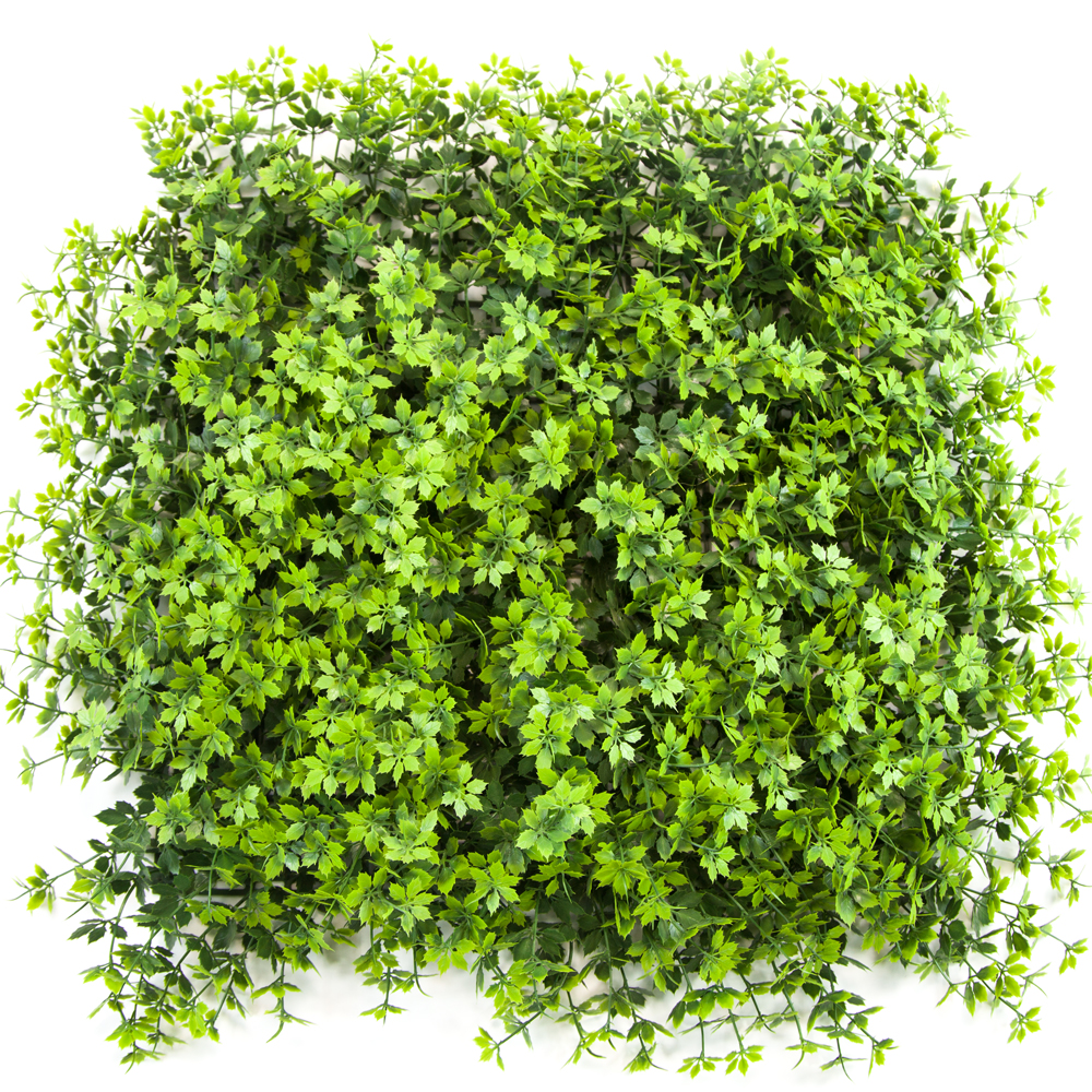 Artificial Plant Wall Vertical Garden Plastic Plant 20inch Hedge Wall Boxwood Hedge Panel Home Decoration Featured Image