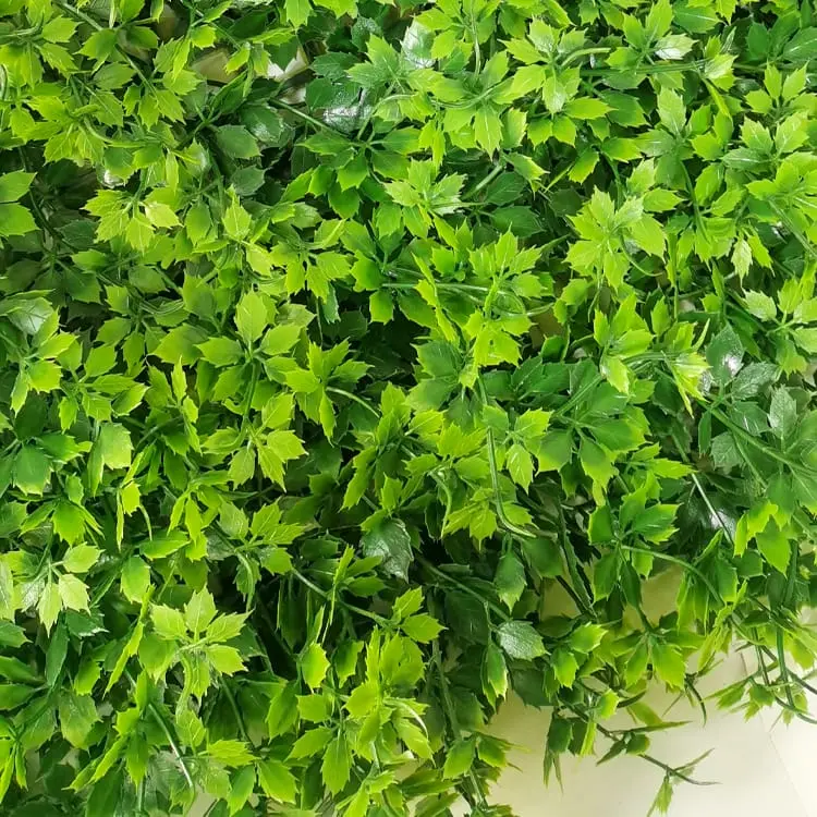 New Arrival China Artificial Grass Rug - Artificial Greenery Boxwood, Privacy Fence Screen Faux Plant, UV Resistant Topiary Hedge – Deyuan